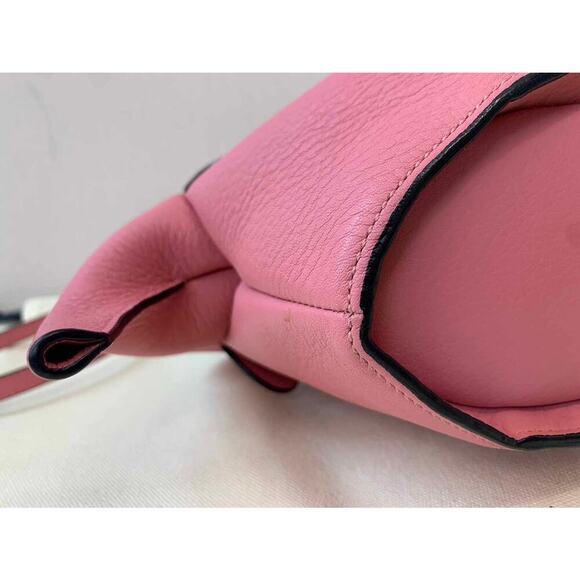 Loewe Pink Elephant Leather Crossbody Bag EUC CoA - Picture 8 of 10